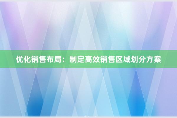 优化销售布局：制定高效销售区域划分方案